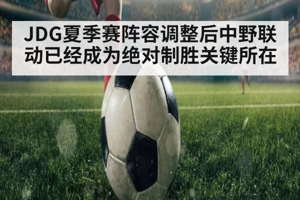 JDG夏季赛阵容调整后中野联动已经成为绝对制胜关键所在