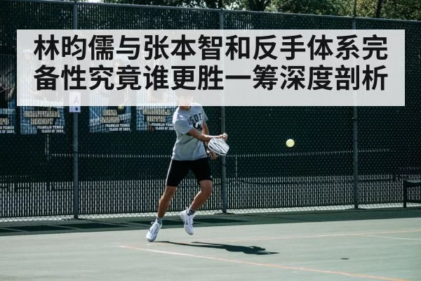 林昀儒与张本智和反手体系完备性究竟谁更胜一筹深度剖析